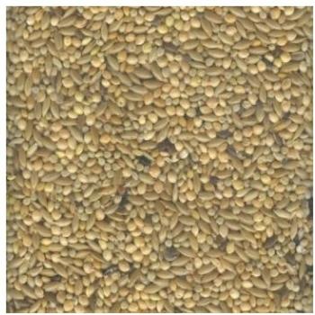 Witte Molen Expert Wellensittiche 20kg (652221)