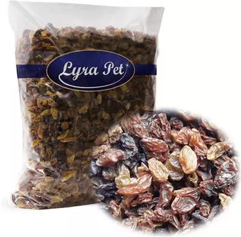 Lyra Pet Rosinen 20kg (36223-002)