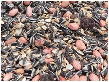 Classic Bird Wildvogelfutter ohne Hirse 2,5kg im Eimer x 4 Stk