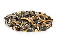 Streufutter Mit Insekten 2 Kg Vogelfutter
