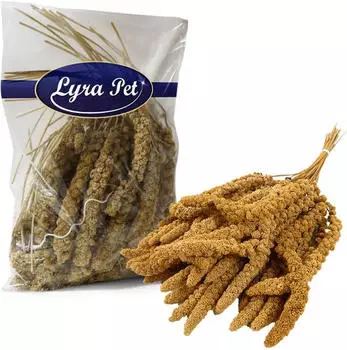 Lyra Pet Kolbenhirse gelb 2kg (31297-002)