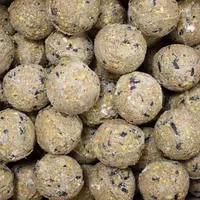 Meisenkn&ouml;del Premium Mit Insekten 200 X Ca.90 Gramm Ohne Netz