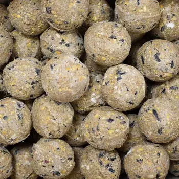 Klasebo Meisenknödel Premium mit Insekten ohne Netz