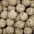 200x90g: Klasebo Meisenknödel Premium mit Insekten ohne Netz