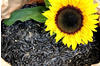 Futterbauer Sonnenblumenkerne schwarz 2022 10kg