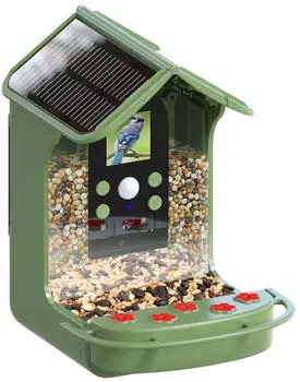 Easypix BirdyCam Wildkamera mit Futterspender grün
