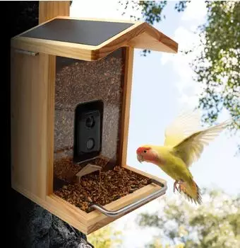Croci WiFi Vogelfutterstation mit Solarpanel & Kamera