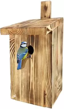 Leviatan Paridae Nistkasten Meise Natur 33mm