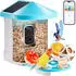 VEVOR Vogelfutterhaus mit KI-Kamera 2K HD Solarbetrieben, 2 Solarmodule
