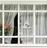 Relaxdays Vogelfutterhaus Fenster, Acryl, dreieckig, transparent, 10er-Set (10035198_0)