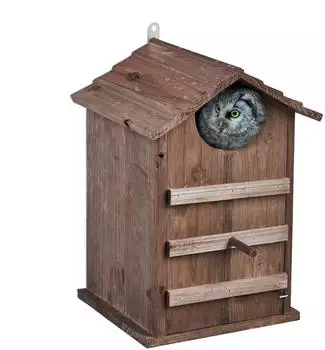 Relaxdays Eulen-Nistkasten, Vogelhaus, wetterfest, aufklappbar