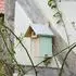 Siena Garden Nestperle LOTTA Nistkasten Kiefer, Einflugloch 32mm (U05981)