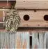 Relaxdays Starenhaus Nistkasten aus Holz, 2 Einfluglöcher