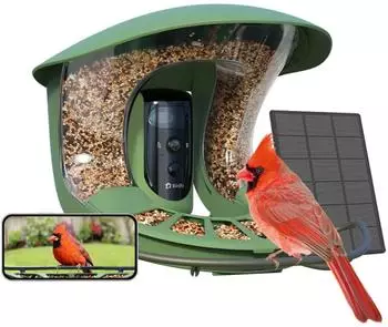 Birdfy Feeder Pro 2 Lite Vogelh&auml;uschen, Solar, KI-Erkennung, 2 Kameras (EPPAMBNI8614100)