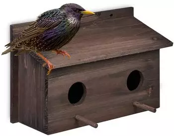 Relaxdays Starenhaus zum Aufh&auml;ngen, Holz, 2 Einflugl&ouml;cher