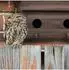 Relaxdays Starenhaus zum Aufhängen, Holz, 2 Einfluglöcher