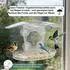 LuxusKollektion Vogelfutterhaus Fenster, Acryl transparent, 4 Saugnäpfe