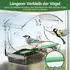 LuxusKollektion Vogelfutterhaus für Fenster, Acryl, transparent, 4 Saugnäpfe