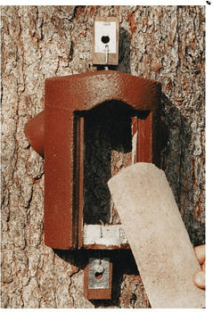 Schwegler Baumläuferhöhle 2B ( 00141/2 )