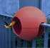 marsala: Rephorm birdball