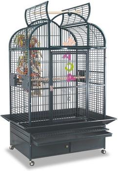 Montana New Berlin Antik