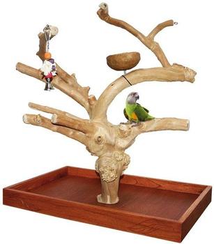Wagner's Java Tree Tischfreisitz aus Kaffeeholz (H71039)