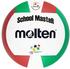 Molten School MasteR V5SMC