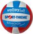 Sport-Thieme Volleyball School