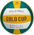 Sport-Thieme Volleyball Gold Cup