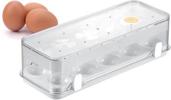 Tescoma Healthy container for the refrigerator PURITY, 10 eggs