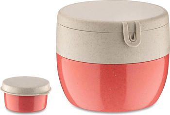 Koziol Bentobox Nature 2-teilig coral
