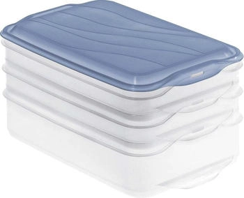Rotho Rondo Foodcenter Vorratsdosen mit Deckel, Transparent/Blau