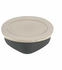 Koziol Box Mit Deckel Connect Box nature leaf green