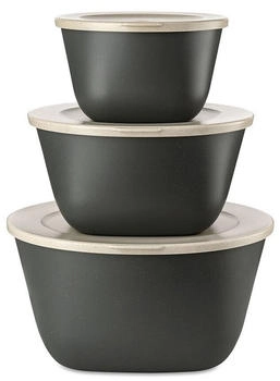 Koziol Connect Box Stockholm 3er Set Nature ash Grey 7873701