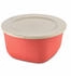 Koziol Box Mit Deckel Connect Box nature leaf green