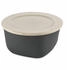 Koziol Box Mit Deckel Connect Box nature leaf green