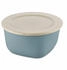 Koziol Box Mit Deckel Connect Box nature leaf green