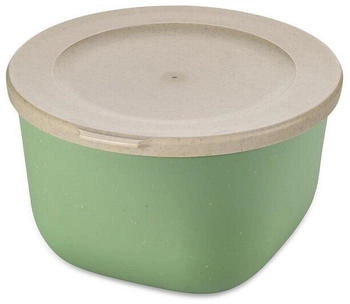 Koziol Connect Schale mit Deckel 1 l Nature leaf green