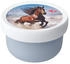 Wild Horse