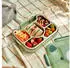 Monbento Wonder Bear Kinder-Lunchbox 950ml, Edelstahl, Grün (Wonder Green Bear)