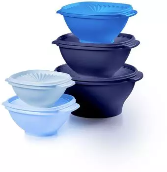 Tupperware Heritage Collection Vorratsdosen-Set, 10-teilig, Vintage Blau, BPA-frei (10 Piece Heritage Set - Blue)