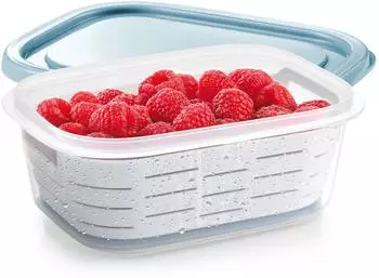 Tescoma 4FOOD Tiefkühl-Dose mit Körbchen 1,0l (896940)