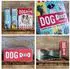 Nostalgic Art Animal Club Dog Food Vorratsdose XL, 4l (30325)