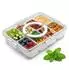 Spetebo Snackbox Kunststoff, 8 Fächer, auslaufsicher, 31x24cm (5000)