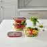 Black+Blum Stack + Nest Frischhaltedosen aus Glas, 4er-Set (FBGR-BX-PACK4)