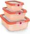 Emsa oneClick Frischhaltedosen-Set 3-tlg., PP, orange (N1230300)