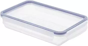 Rotho K&uuml;hlschrankdose 1 l Blau