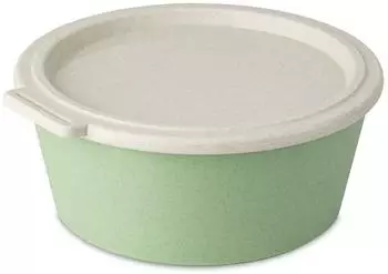 Koziol Move Box Schale mit Deckel 1,3l, nature leaf green (100050703)