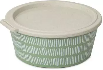 Koziol Blomster Box Schale mit Deckel 1,3l, nature leaf green line (8174703)