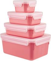 Emsa FRISCHHALTEDOSENSET Transparent 16.7x9.9x22.6 cm
